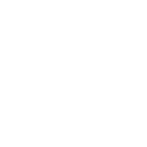 Partner Brand 11