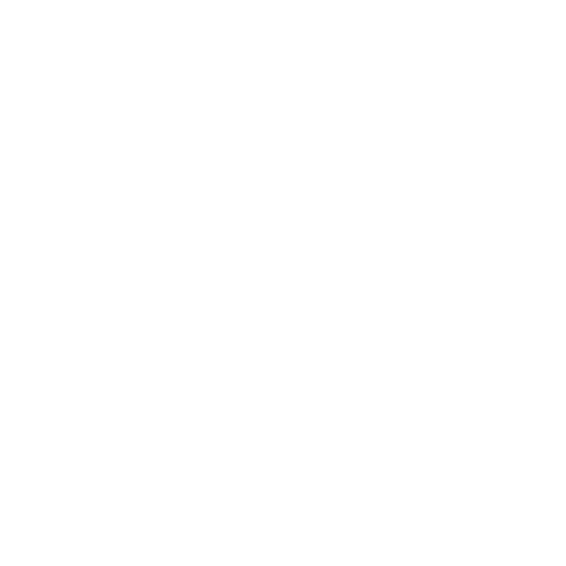 Partner Brand 10