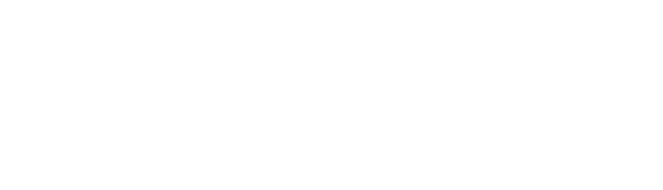 Partner Brand 12