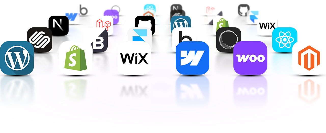 Website Development Services